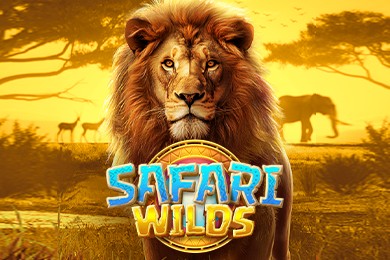 Safariwilds КТО Казино играть